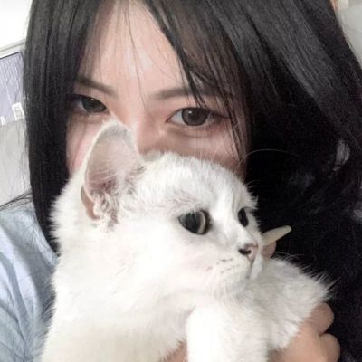 牛牛游戲網(wǎng)app下載截圖