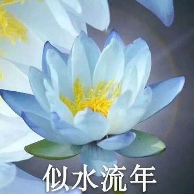 萬博max體育(ManBetX)