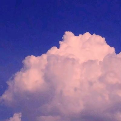 火狐體育APP體育