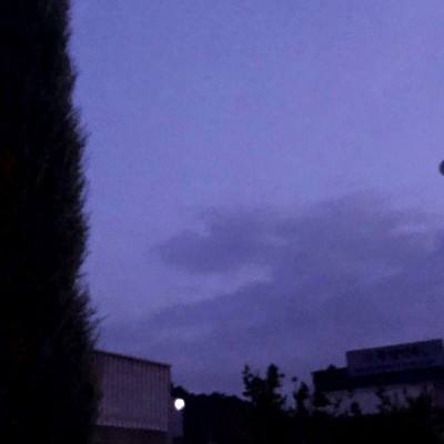 鄭玉明