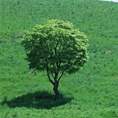 HTH登陸入口網(wǎng)頁