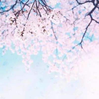 狗萬官網