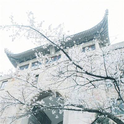 ag網游在線下載