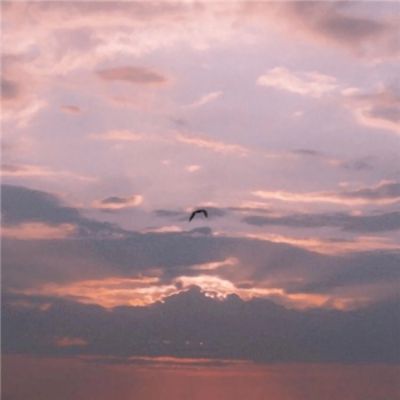 BOB·體育(中國)官方網站APP