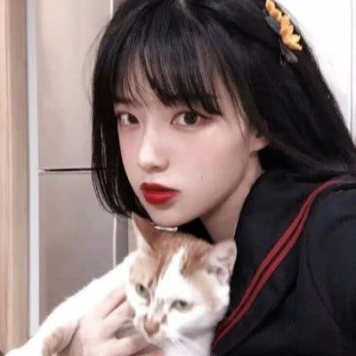 熊貓娛樂appapp下載