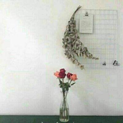 皇冠體育網址