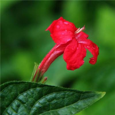 m6米樂網(wǎng)頁版登錄入口app下載