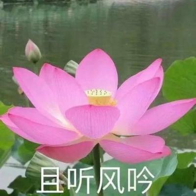 易火棋牌下載手機(jī)版