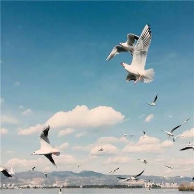 云開(kāi)全站app
