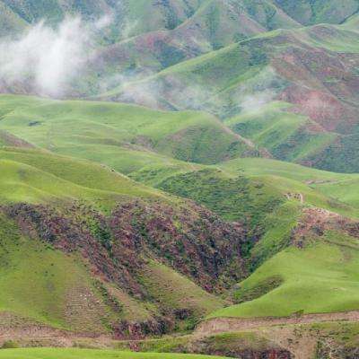 bst365·體育