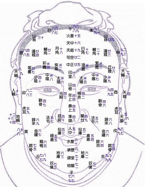流年運勢面相分析詳解圖?流年運勢面相分析詳解圖