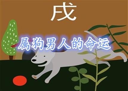 屬狗男運(yùn)勢(shì)壽命?屬狗男運(yùn)勢(shì)壽命怎么樣