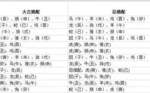 姓名加生肖配對?姓名與生肖
