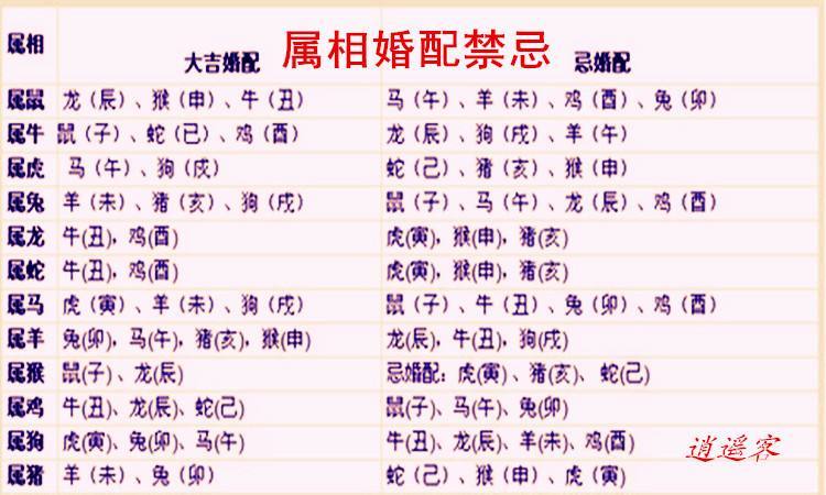 屬豬的婚姻屬相配對怎么樣?屬豬的婚姻相配嗎