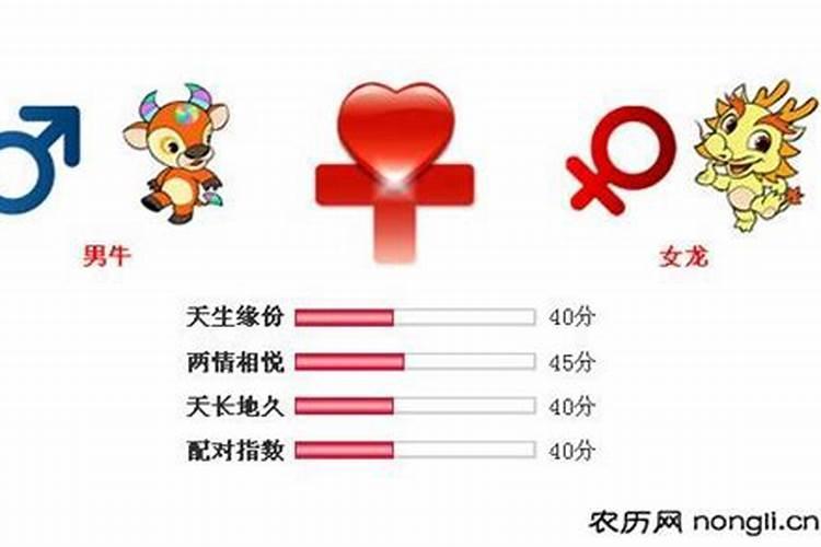屬龍女和屬什么好婚姻配對?屬龍女和屬什么好婚姻配對呢