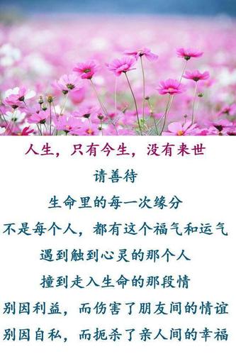 姻緣今生命中注定?是今生的姻緣也好