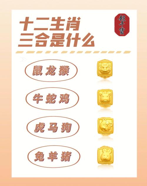 32生肖是什么號碼?三十二生肖