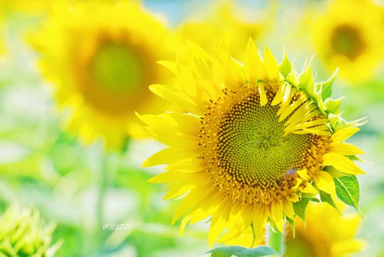 夏天運勢不好?一到夏天運勢就不好