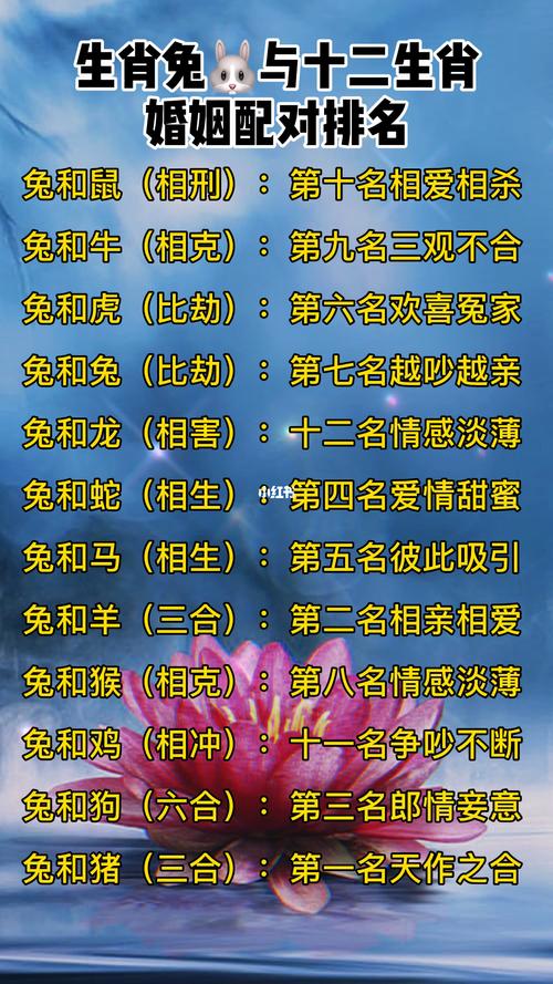 生肖馬男的婚姻配對屬相表?馬生肖男配什么生肖女