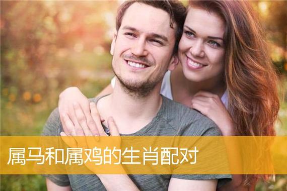 馬雞配對婚姻合適嗎男女?馬雞相配婚姻幸福嗎