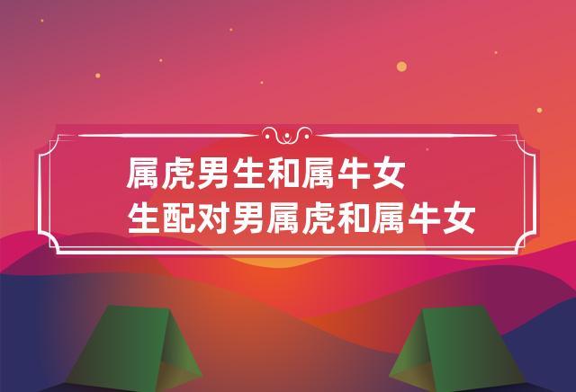 生肖牛虎的婚姻配對屬相?生肖牛配生肖虎相配嗎