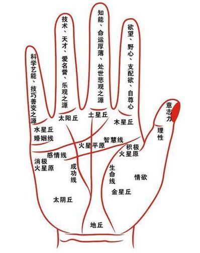 如何看手相的流年運勢圖?手相看流年命運圖解