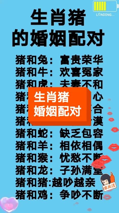 95年豬的男最佳婚姻配對的簡單介紹