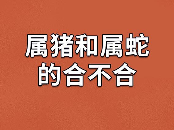 婚姻配對屬豬和屬蛇的?屬豬和屬蛇的人婚配狀況如何