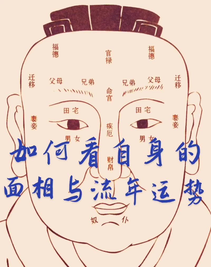 短鼻子運勢破解?短鼻子面相