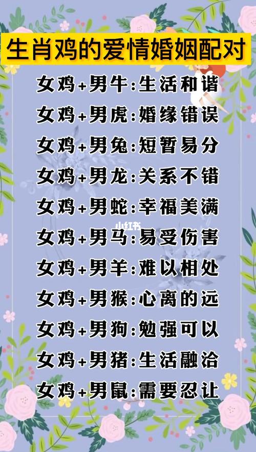 屬相兔最佳婚姻配對表圖?屬兔的屬相最配的對表