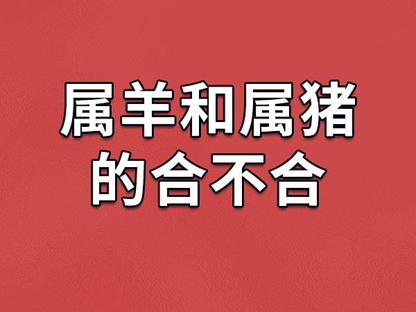 男羊女豬婚后會幸福嗎?男羊女豬能過一輩子嗎