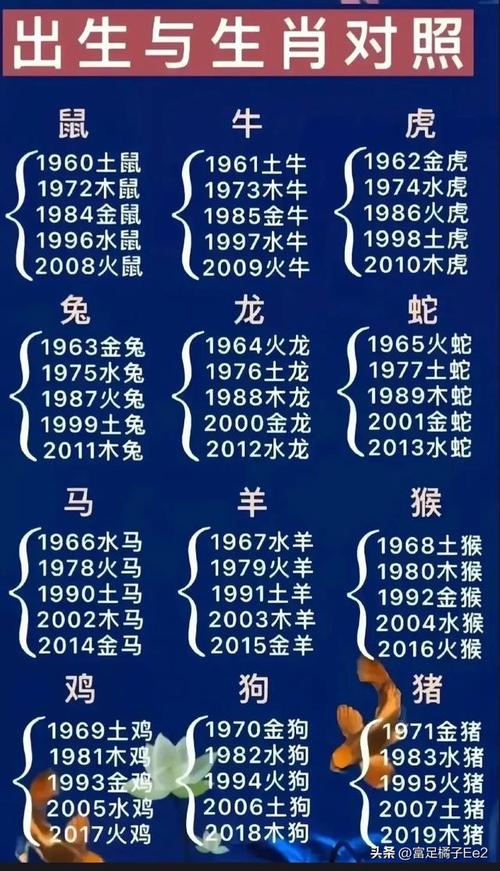 新生肖號碼?十二生肖號碼表2024圖片