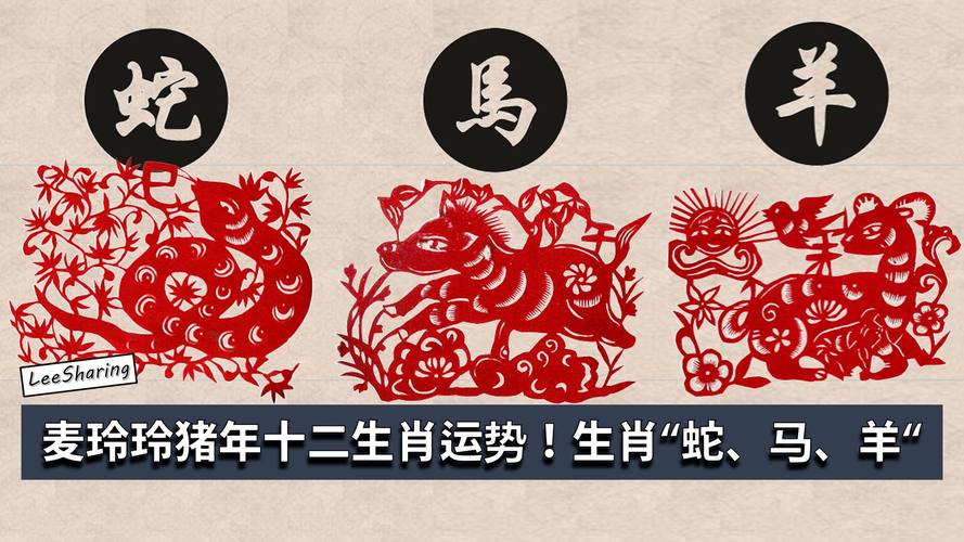 屬蛇人遇豬年運勢?蛇年遇豬年的運氣