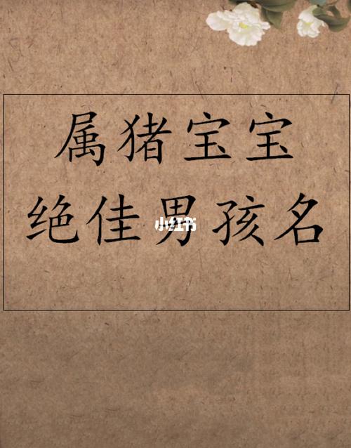 屬豬塑料公司取名?屬豬公司名宜用字大全