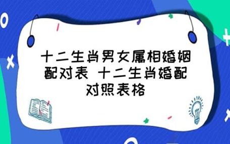屬牛人的婚姻大忌生肖配對?屬牛人的婚姻和什么人最合適