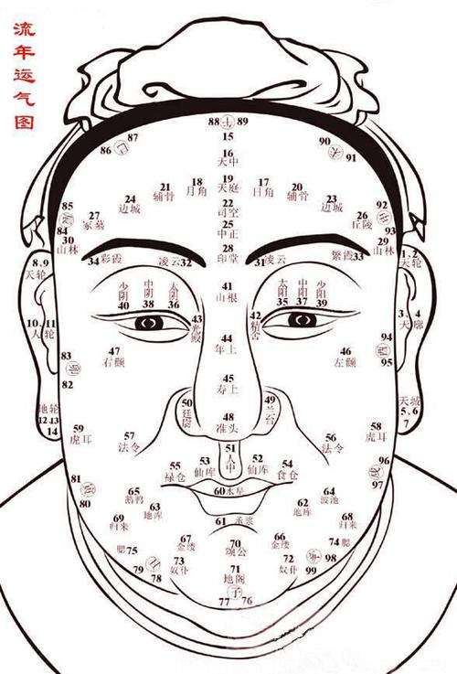 面相流年運勢查詢網絡?面相流年氣運圖